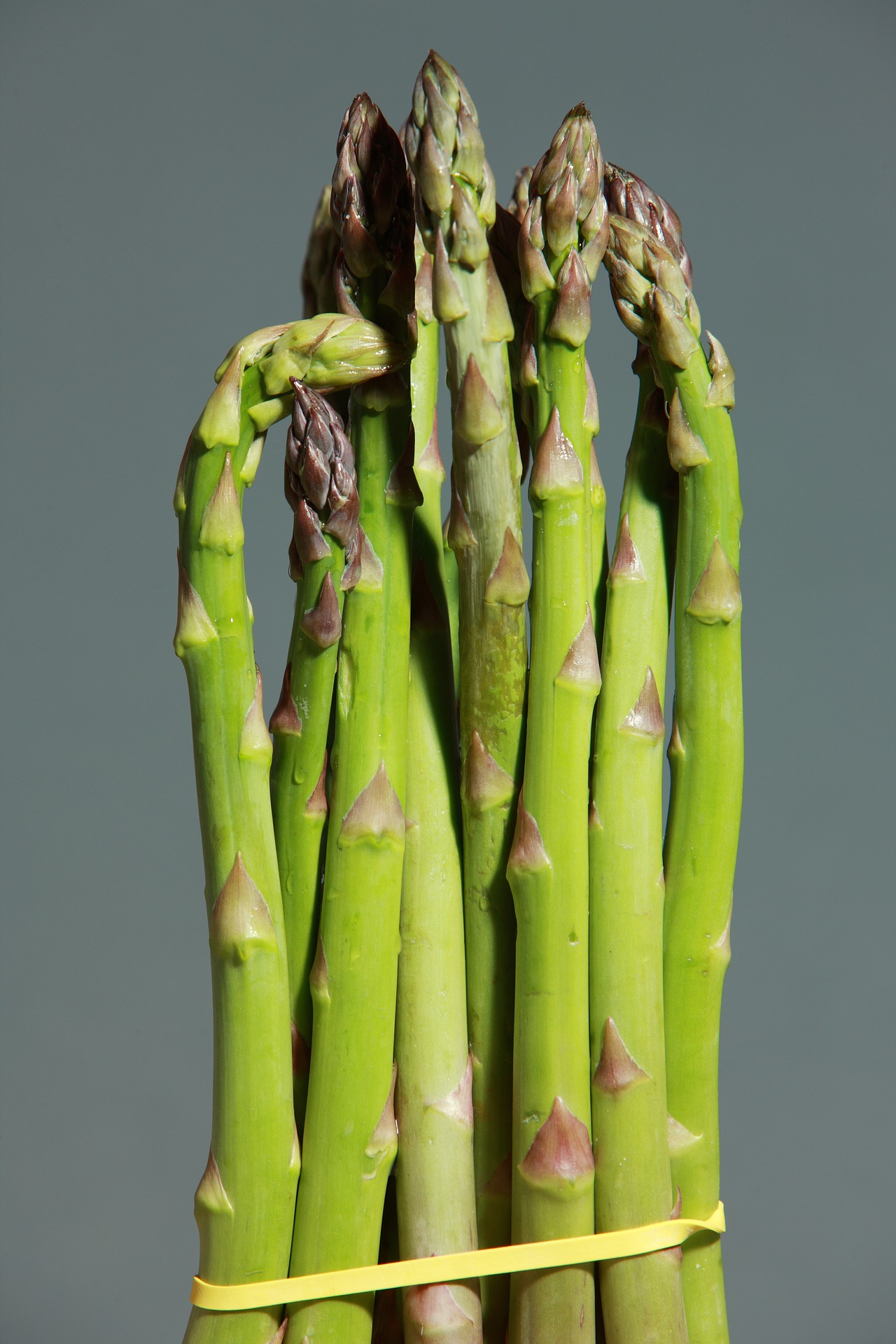 Grünspargel selbst anbauen