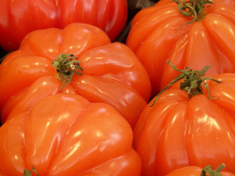 Fleischtomaten