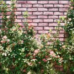 red and white flowers beside brown brick wall