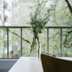 shallow focus photography of white flowers on clear glass vase