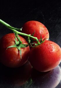Bio-Tomaten selber ziehen: Schritt-für-Schritt für Anfänger