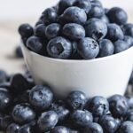 Frische Heidelbeeren in einem Kübel auf dem Balkon