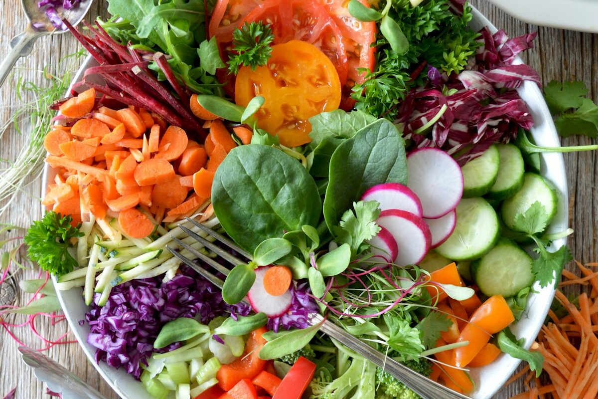 Frischer Bio-Salat im Gartenbeet