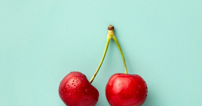 Reife Stachelbeeren am Strauch