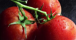Tomaten ausgeizen: warum, wann und wie?