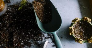 Die 10 wichtigsten Gartengeräte für Bio-Einsteiger